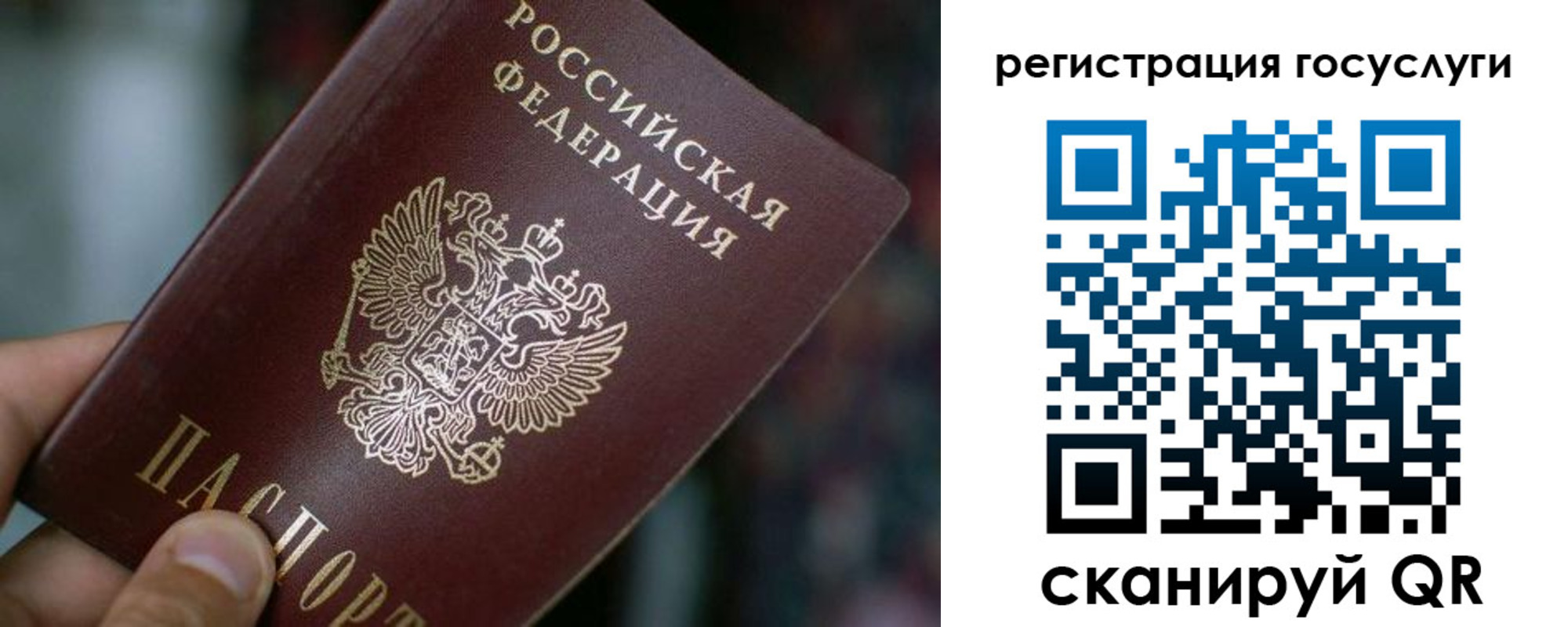 временная прописка в Коврове